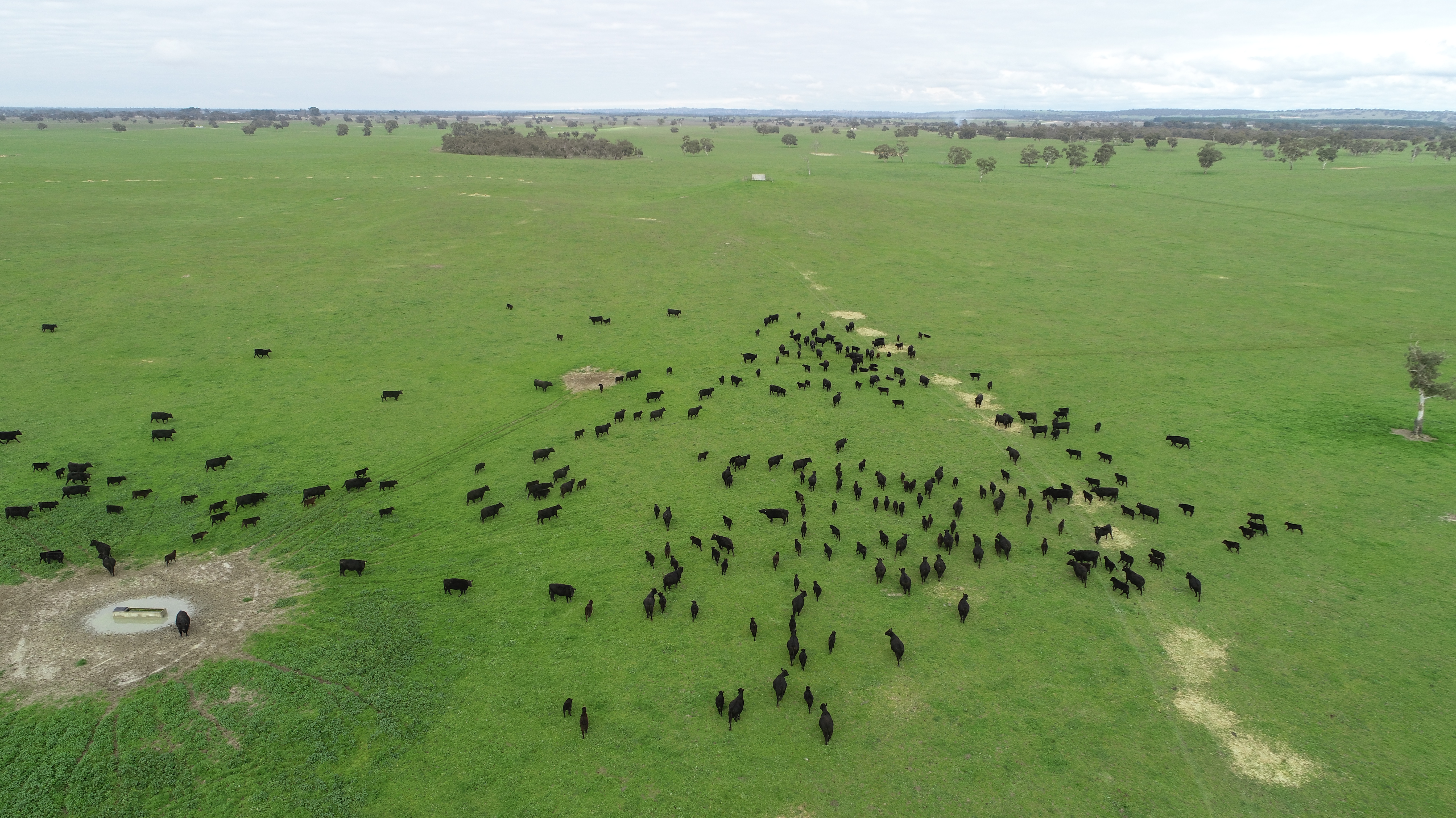 ./DJI_0044_1__1776220159542